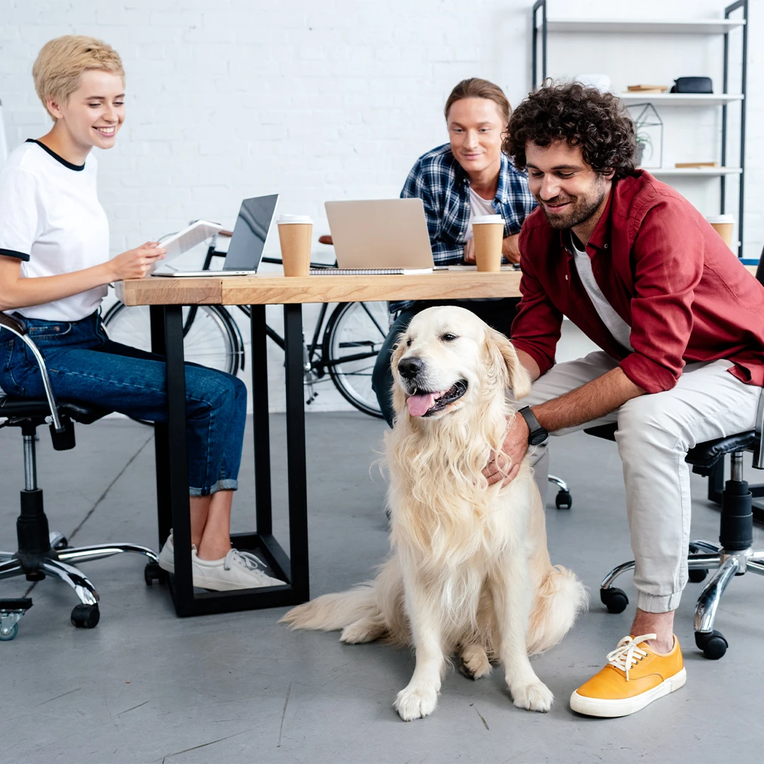 Boost employee happiness, reduce stress, and promote a positive work environment by bringing in therapy dogs or organizing a 